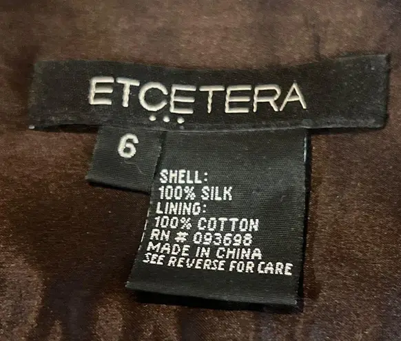 Etcetera Italian Brown Embroidered 100% Silk Geometric Pattern Womens skirt 6