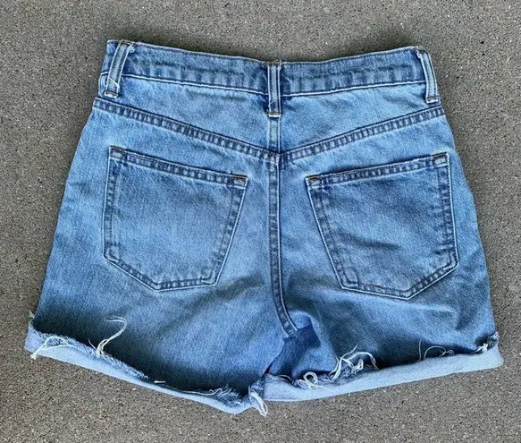 Everlane Denim Jean Shorts