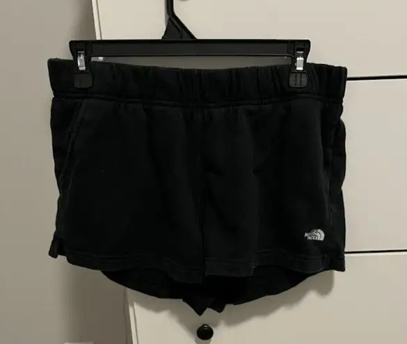 The North Face  Women's Shorts - Size L