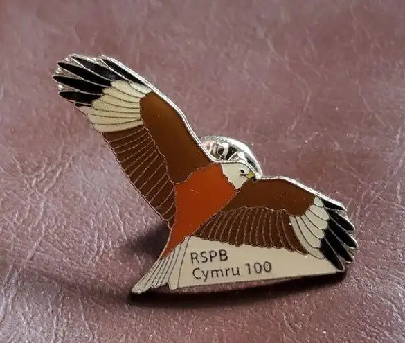 Vintage RSPB Cymru 100 Bird Wildlife Enamel Pinback Lapel Hat Pin Welsh Red Kite