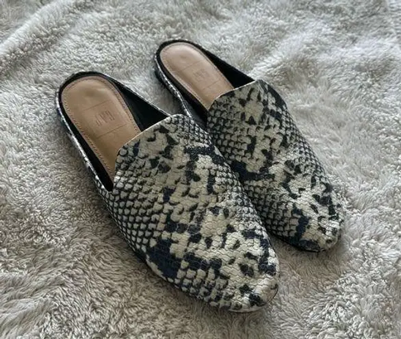 Gap  snakeprint slide on mules, blue and cream pointed toe flats