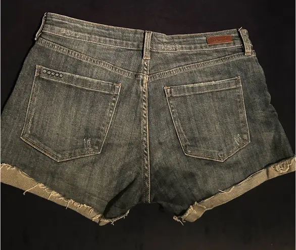 BLANK NYC  Denim Shorts Distressed Fulton