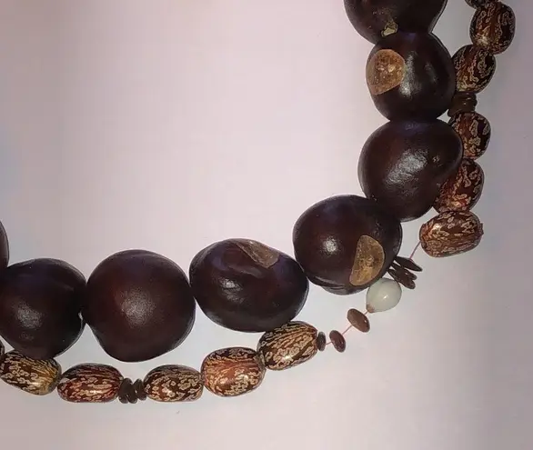 Buckeye Chestnut Castor Beans Boho Chunky Retro Necklaces Brown