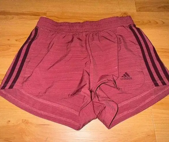 Adidas Maroon  Shorts