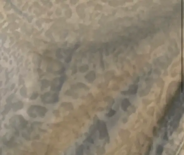 Etcetera Green Cheetah Print Straight Leg Pants