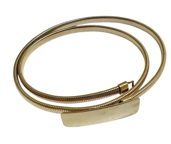 Vintage Gold Tone Thin Metal Hook stretchy Belt