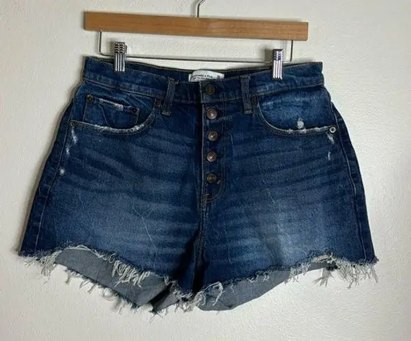 Abercrombie & Fitch  high rise fly button mom shorts curve love size 30