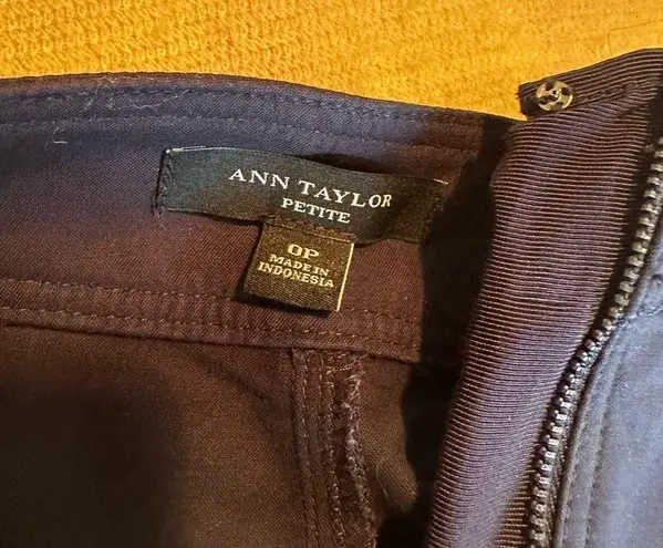 Ann Taylor Navy  skirt