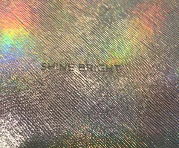 ESTELLA BARLETT Silver Metallic Clutch “Shine Bright” Size Medium NWT