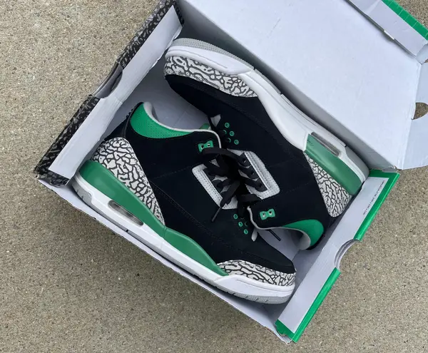 Air Jordans Pine Green 3