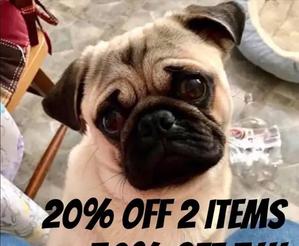 Dockers black zip up pants 14 M