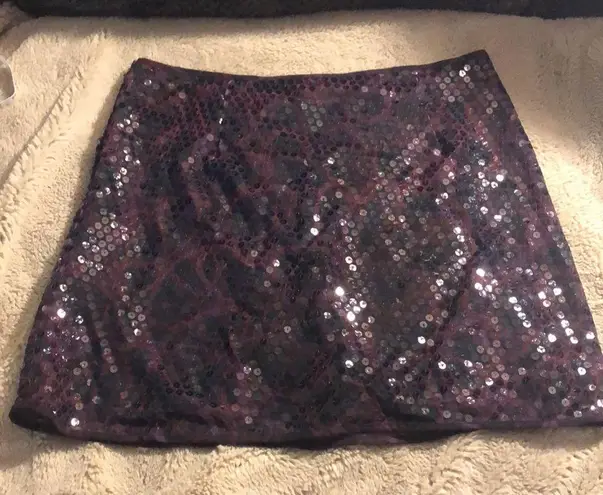 EXPRESS  Sequined Mini Skirt, size 1/2