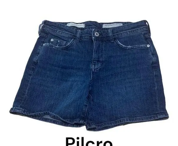 Pilcro and the Letterpress Pilcro size 28 slim boyfriend shorts Anthropologie denim jean distressed