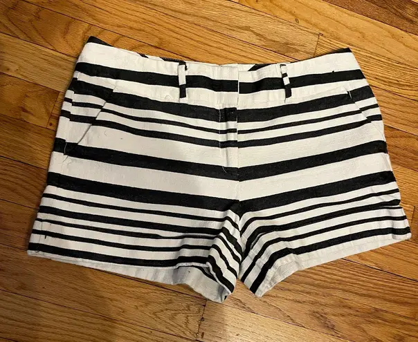 New York & Co. 7th av Design Studio Striped Print Shorts Casual Dress Bermudas Work Party summer beach vacation travel