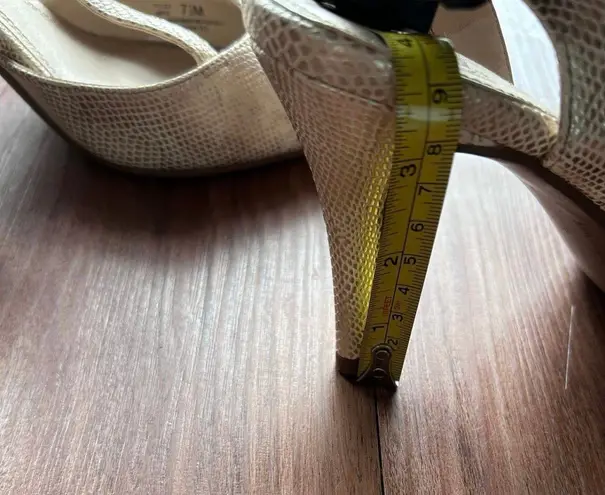 Impo Medium Pointy Heels with Golden touch For Women