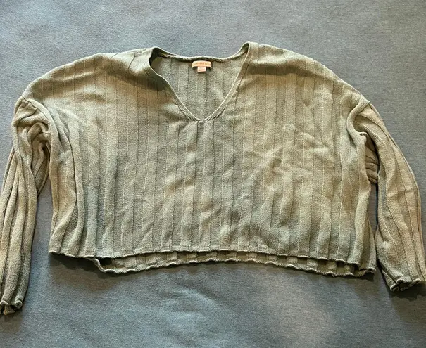 American Eagle Cropped Sweater