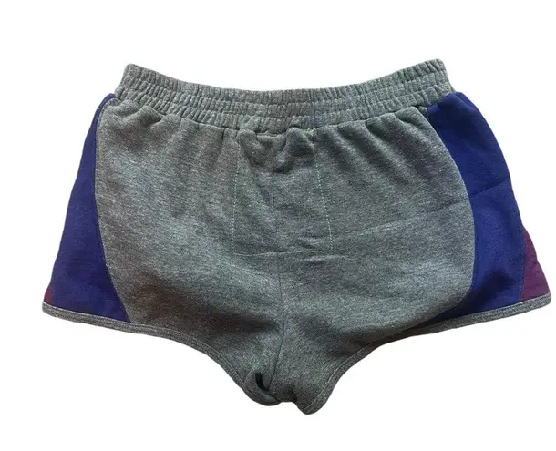 Aviator Nation Gray & Purple Sweat Shorts