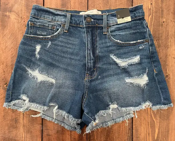 Abercrombie & Fitch NWT  High Rise Short Jean Shorts (Curve Love) - Size 2 (26)