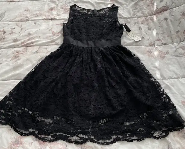 BB Dakota NWT  Black Lace Fit & Flare Lined Mini Dress, size 2