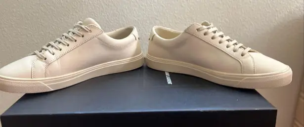 Saint Laurent Sneakers Andy Low Top Brooklyn Dark Coquille Casual Womans Sneaker