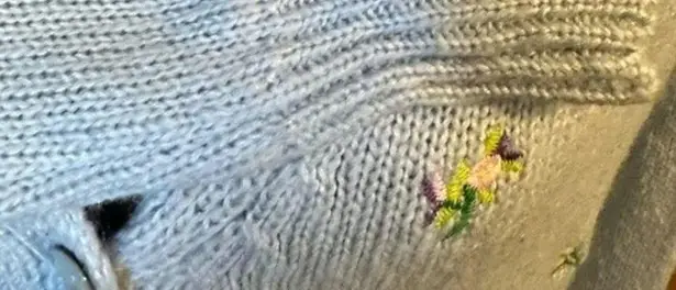 Cotton Emporium Light Blue Flower Embroidered Cardigan