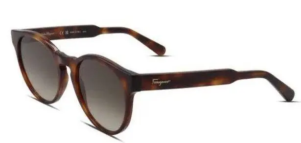 Salvatore Ferragamo  tortoise sunglasses 🦋