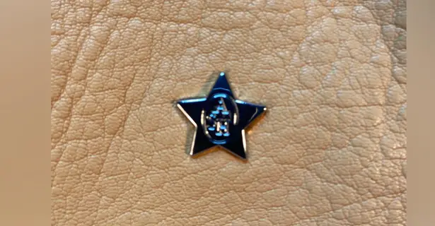 Ash NWT, shoulder Bag, with Crossbody strap, Soft Leather, zippers, grommets