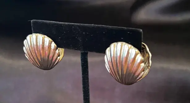 Boutique Gold Seashell Large Stud Earrings