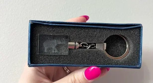 Crystal Elephant Keychain with Silver Tone Hardware and Light Up Feature