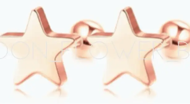 Rose Gold Star Barbell Earrings Pink