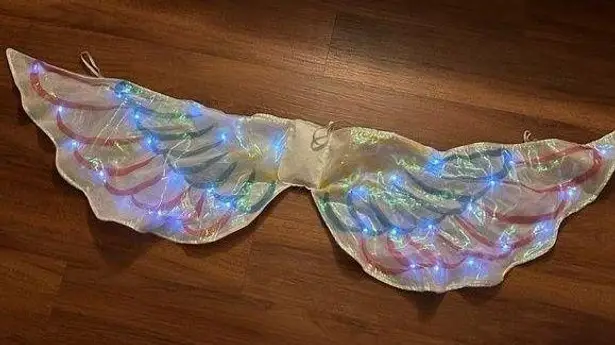 Fairy wings Pink