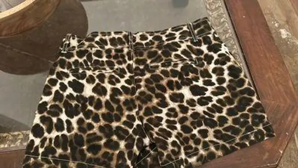 New York & Co. Shorts