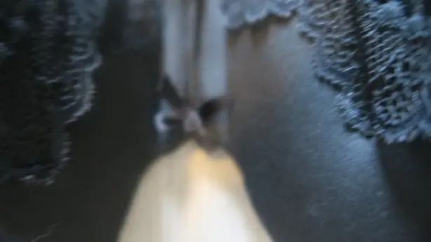 Cacique Lane Bryant boost strapless bra jewelry on front lacey in black size 44DD.