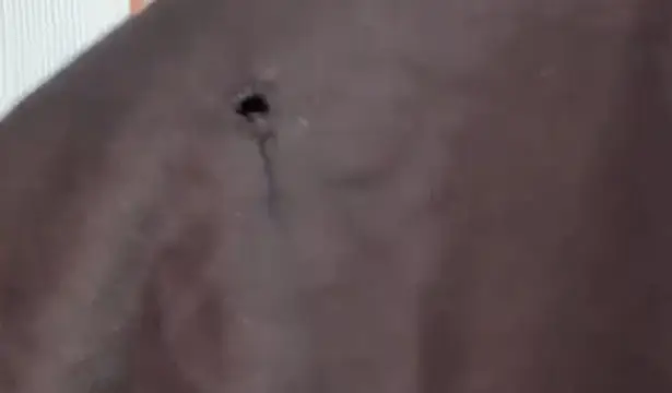 Frank & Eileen MINI HARPER Perfect Tee Dress Dress Black Size XL