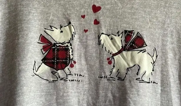 Laura Ashley Gray Long Sleeve Cozy Shirt small NWT