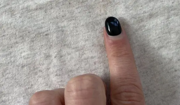 Women's The Bee & The Fox Tee Size XS