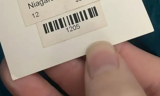 Alfred Sung NWT Niagara Teal Blue Peacock Sample Cocktail Dress Taffeta New