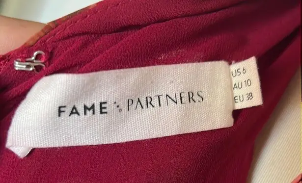 Fame and Partners The Lana Floral Light Georgette Dress