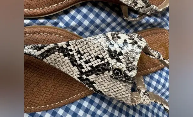 Circus by Sam Edelman NWOT  Womens 11M Sandal Snakeskin Print Slingback Thong