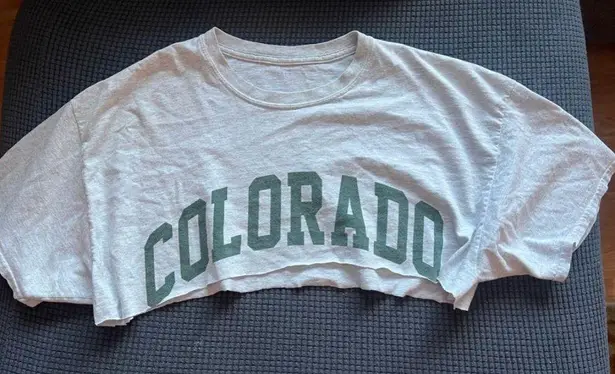 Brandy Melville John Galt Cropped Colorado Green White Tee Shirt