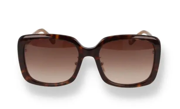 Chloé Chloe Gradient Rectangle Acetate Sunglasses, Comes with Case & Wipe, New w/Tag