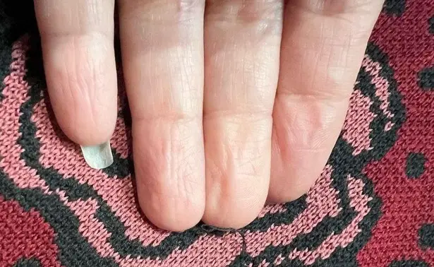 CoVelo Pink Rose Print Silk Blend Ruffle Trim Button Up Cardigan Size M