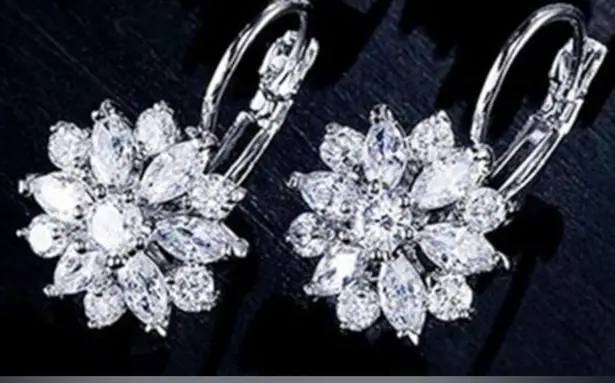 Earrings Dangle Crystal Clear Silver Tone Lever Back New