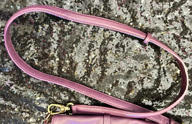 Purple Purse
