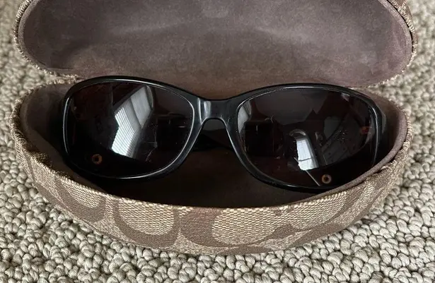 Coach Women’s Sunglasses Lisbeth in Brown.