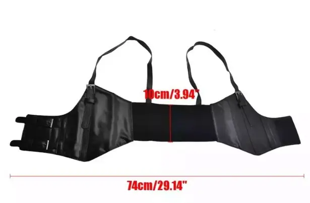 Steampunk Black Brown Corset Belt Vest Harness New