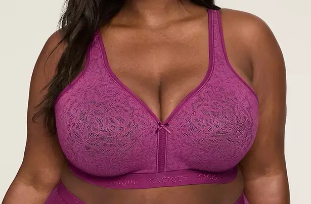 Cacique Cotton Collection Lightly Lined No-Wire Bra 46D – NWT Purple Lane Bryant