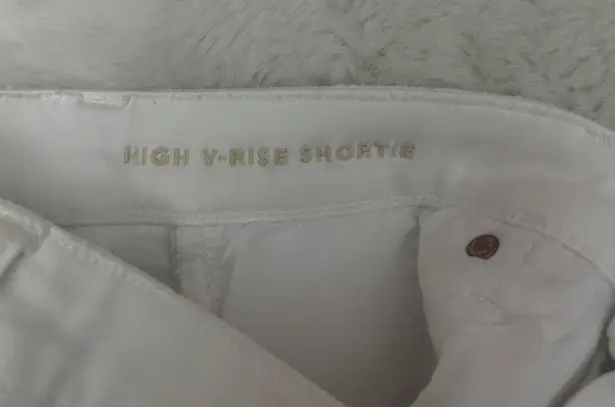 American Eagle High V-Rise Shortie 