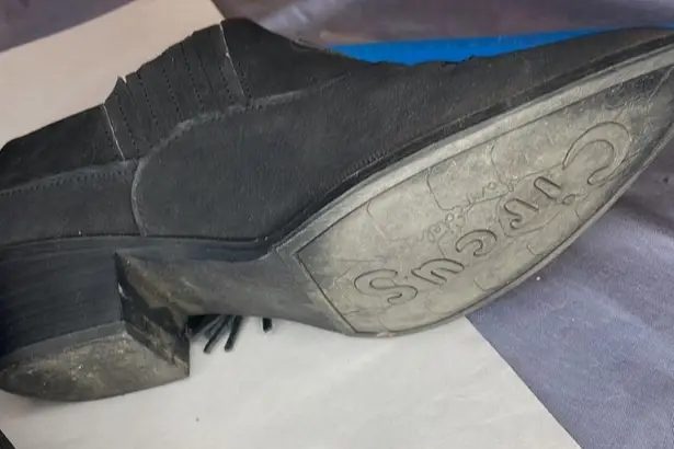 Circus by Sam Edelman