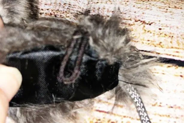 Vintage Faux Fur Choker Collar with Pom Poms